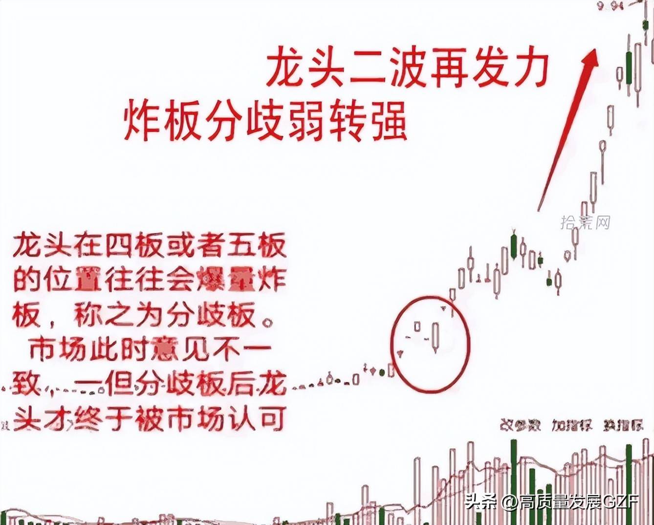 龙头股的肉