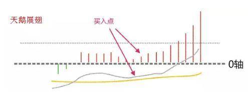 最爱MACD指标