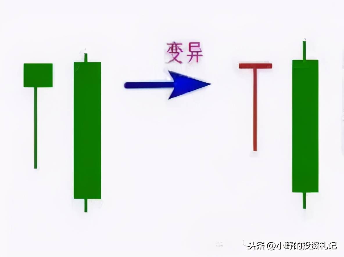 坚持五大卖点铁律半年后你会有意想不到的进步