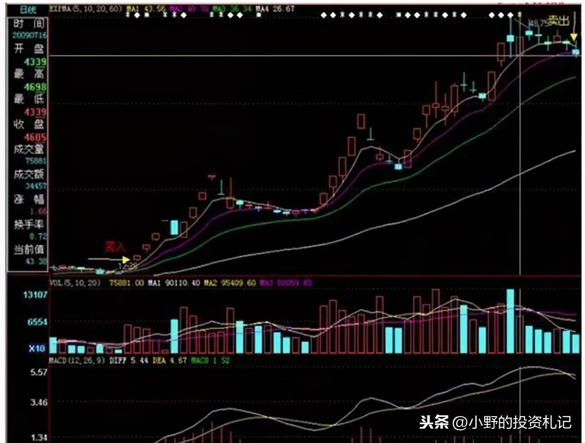 量比指标很多人不看竟然是庄家最害怕散户学会的值得收藏