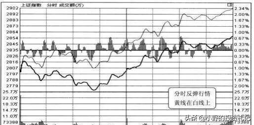 极少人知道盘口双龙共舞用法掌握这几点轻松捕捉涨停板