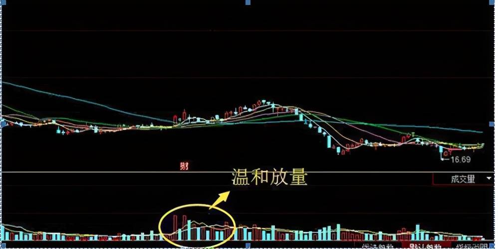 中国股市出现双飞乌鸦散户做好准备出逃否则后悔莫及