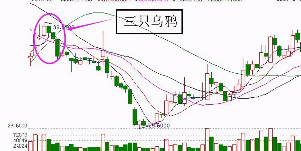 中国股市出现双飞乌鸦散户做好准备出逃否则后悔莫及