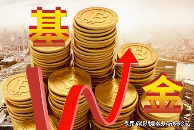 跟着基金经理买股票这样可行吗?