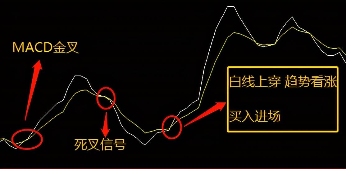 通达信指标提前三天预警主副图确认出入