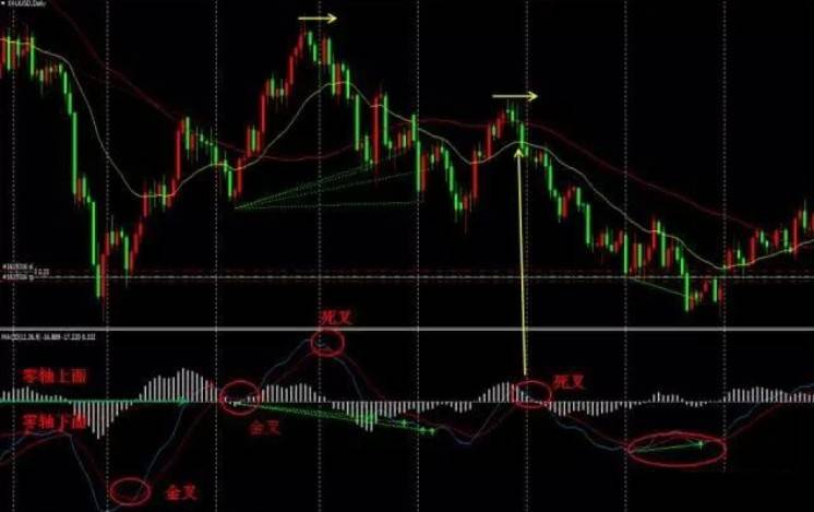 冠军操盘手珍藏多年的MACD技巧MACD右侧交易系统看完涨见识
