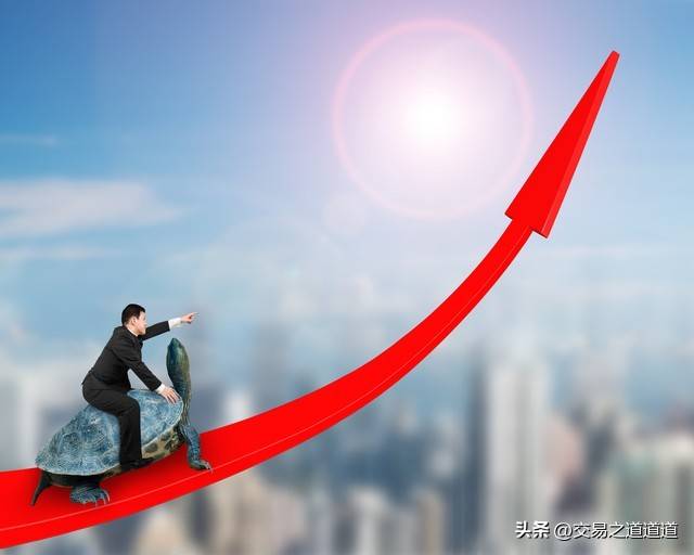 能长期在股市里稳定赚钱的都是些什么人