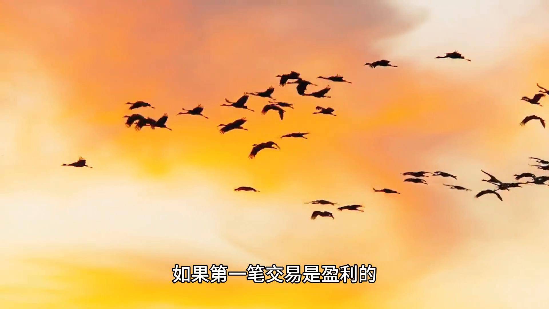 股票大作手回忆录中利弗莫尔的牛市操作策略你学会了吗？