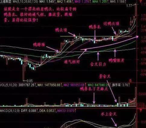 学会这套方法就能从小白到高手只依靠一招老鸭头选股战法!