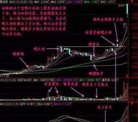 学会这套方法就能从小白到高手只依靠一招老鸭头选股战法!