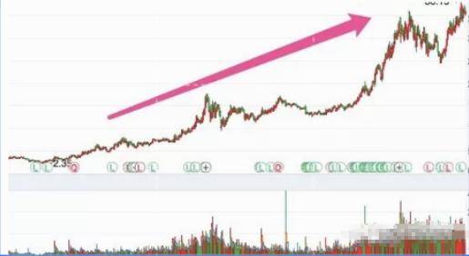我们交易者只需要反复做好两件事招招切中要害此文太重要了!