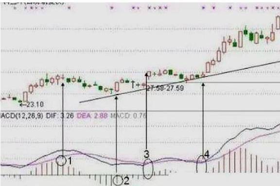 MACD不要只看金叉死叉精髓是红绿能量柱不懂不要炒股！
