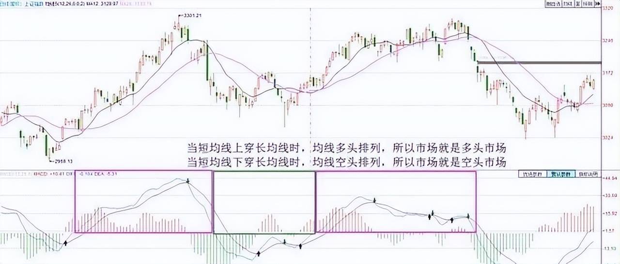 写给所有在亏损的散户的一封信股票起飞前庄家都会先试盘