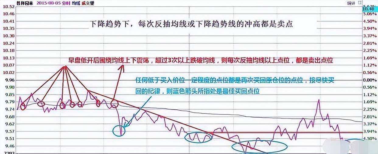 最让主力感到害怕的只有一种人长期持股反复轮动做T