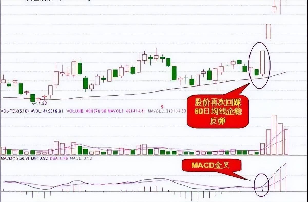 最让主力感到害怕的只有一种人长期持股反复轮动做T