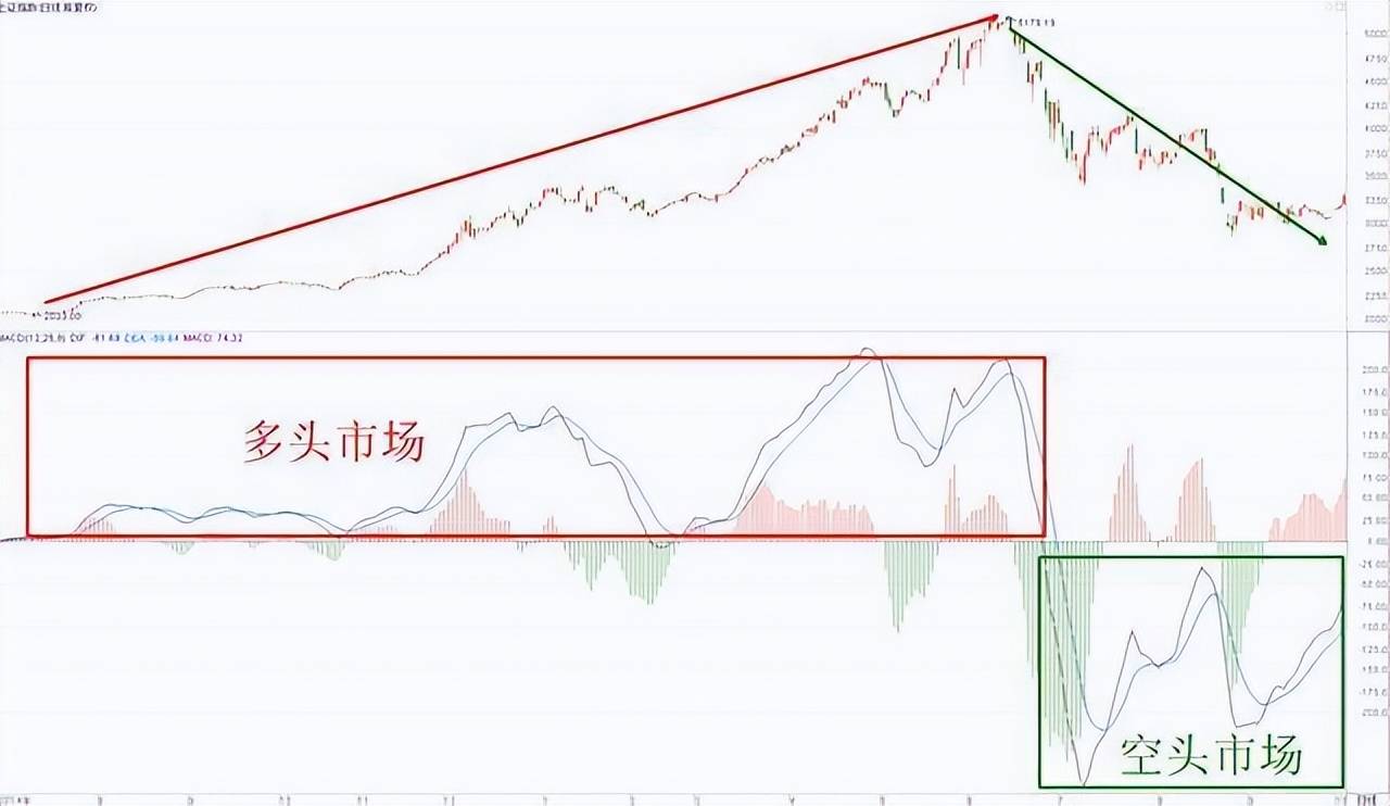 最让主力感到害怕的只有一种人长期持股反复轮动做T
