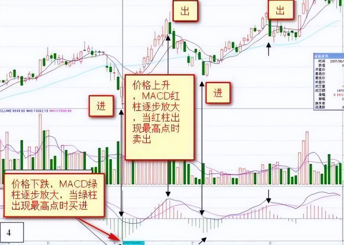 最让主力感到害怕的只有一种人长期持股反复轮动做T