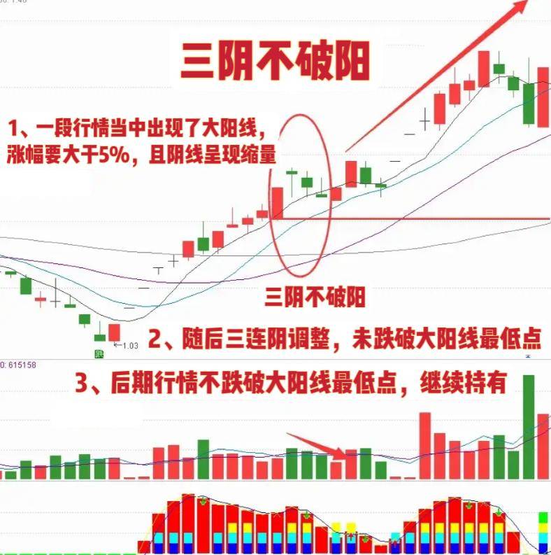在中国股市中普通散户有胜算吗?此文值得两亿散户深思!