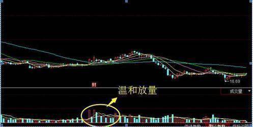 炒股无需太勤劳穿头破脚乌鸦双飞吃透主力资金拉升波幅
