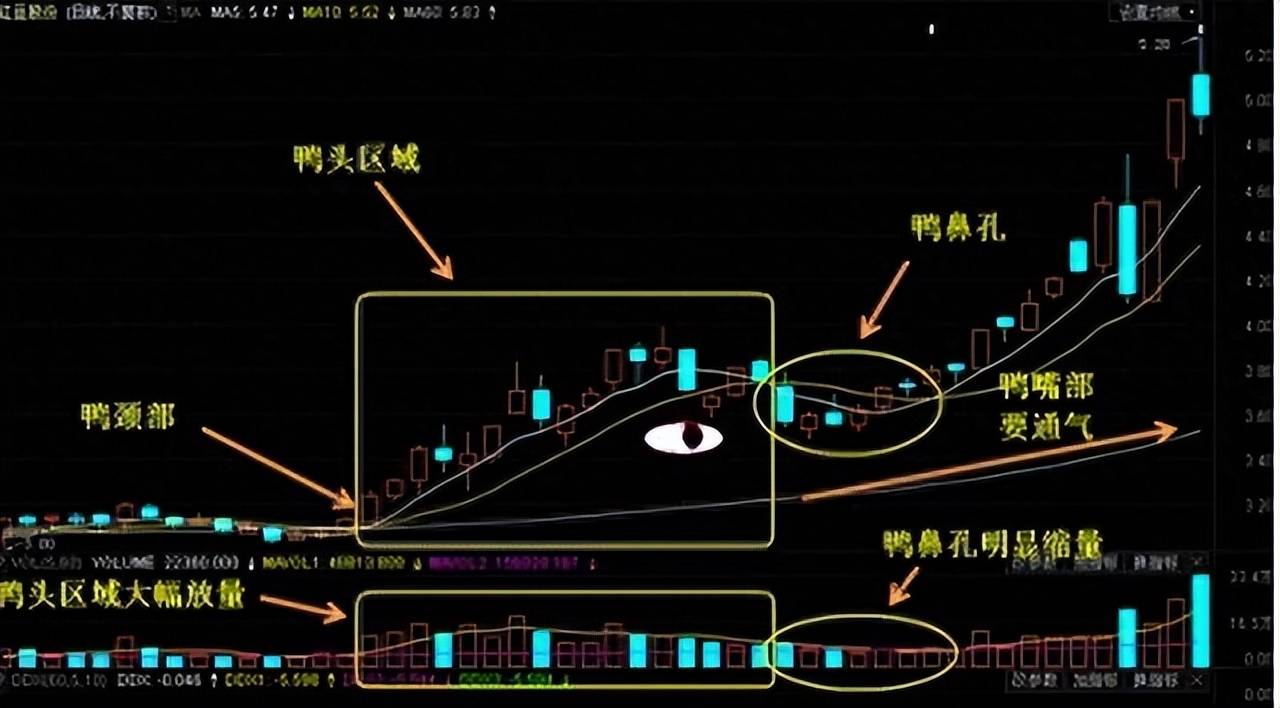炒股十多年从30w到1900w只因死啃一种形态只做一种趋势！
