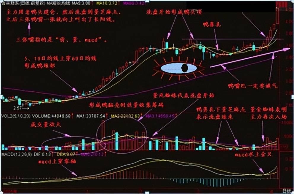 炒股十多年从30w到1900w只因死啃一种形态只做一种趋势！