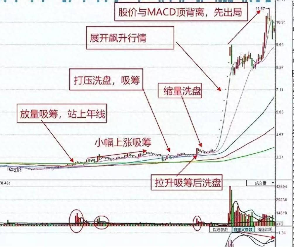 教你一眼看穿筹码分布别再把主力出货当成洗盘了!纯干货