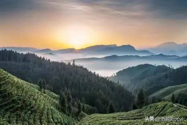 成熟市场的制度设计是什么样的？A股与众不同走出了不一样的道路