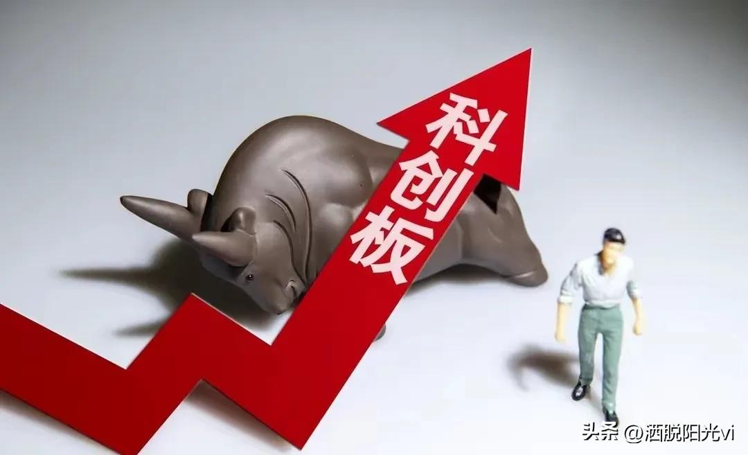 一个只有贡献却没有回报的股票市场制度是怎么建立起来的