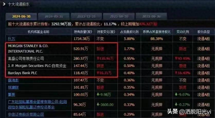 股价从34跌到28元高盛摩根等4家外资抄底全部买成十大股东