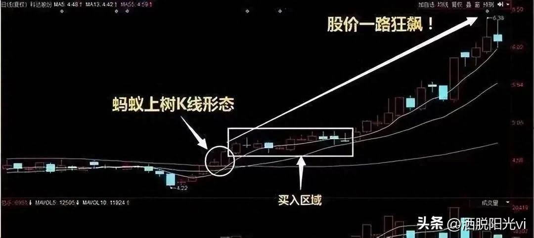 中国股市一旦出现蚂蚁上树散户注意了主升浪即将到来！