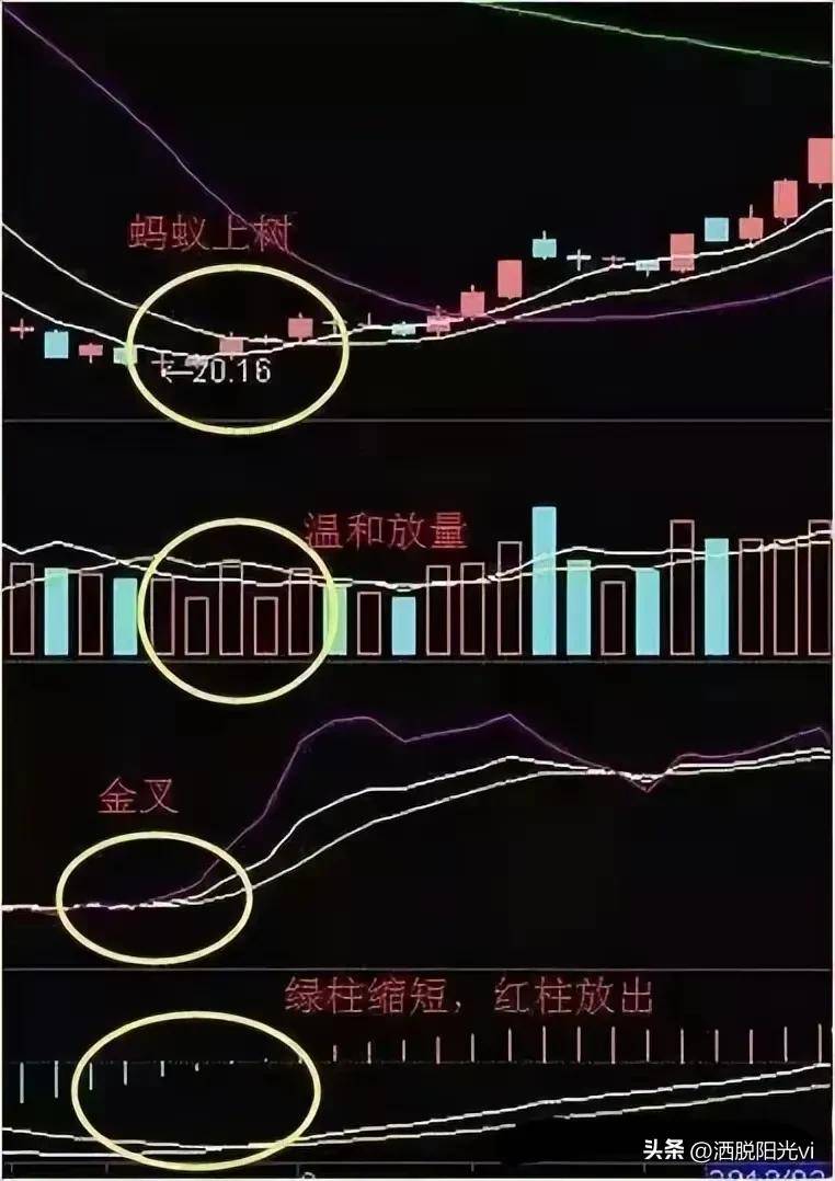 中国股市一旦出现蚂蚁上树散户注意了主升浪即将到来!