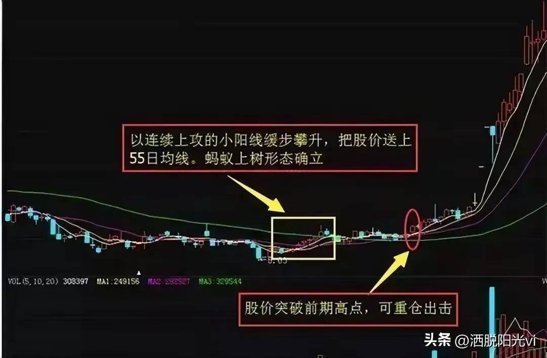 中国股市一旦出现蚂蚁上树散户注意了主升浪即将到来!