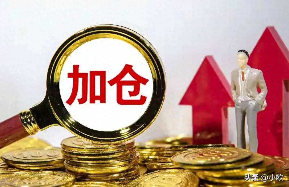 一只股票每跌10个点就加仓一直坚持这样炒股能赚到钱吗？