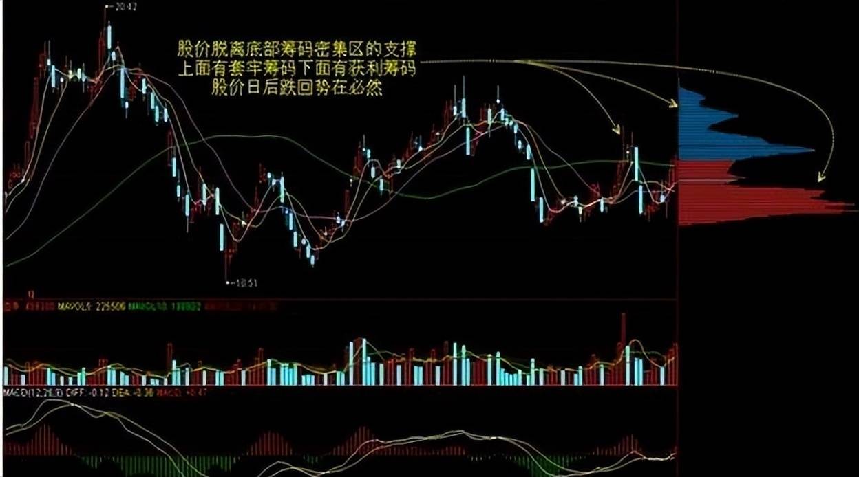 同样是炒股为什么有些人实现了财务自由而你却黯然失色？
