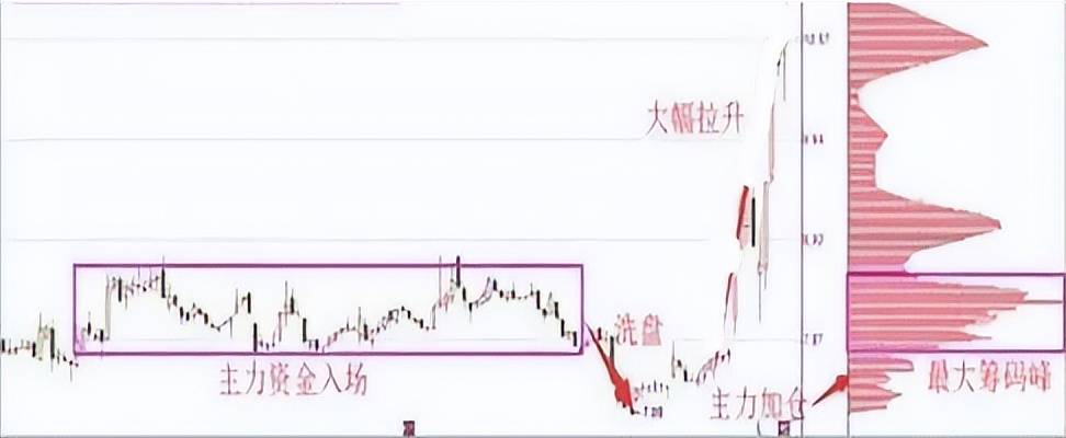 同样是炒股为什么有些人实现了财务自由而你却黯然失色？