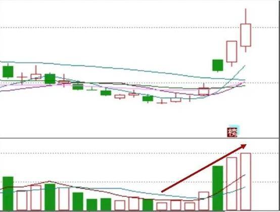 炒股这么难为什么你还在坚持？老股民肺腑之言值得散户深思！