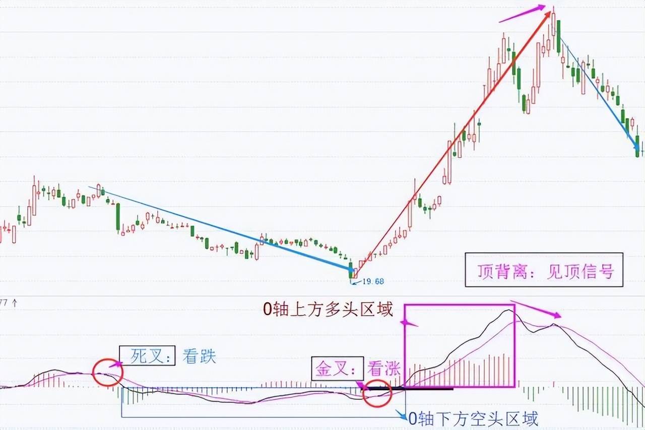 中国股坛第一人的退役留言MACD的极致用法买小卖小缩头缩脚