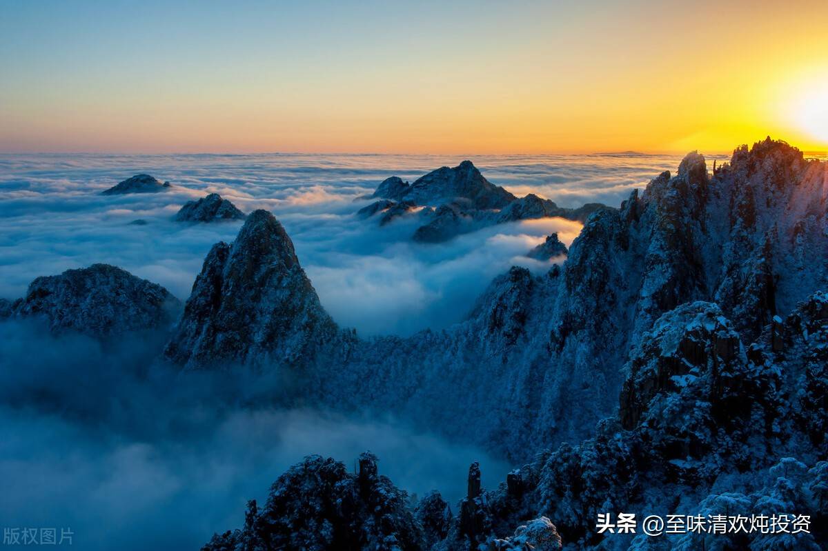 什么样的高股息股票值得长期拥有
