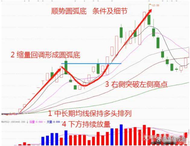 我发现了一个炒股的捷径那就是反反复复研究涨停板！