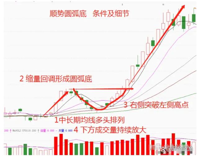 我发现了一个炒股的捷径那就是反反复复研究涨停板!