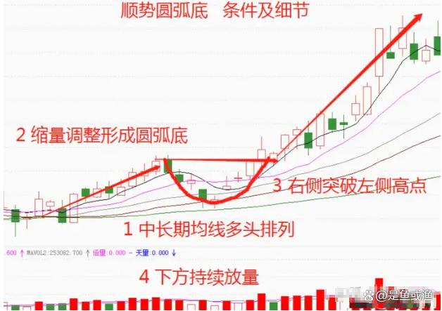 我发现了一个炒股的捷径那就是反反复复研究涨停板!