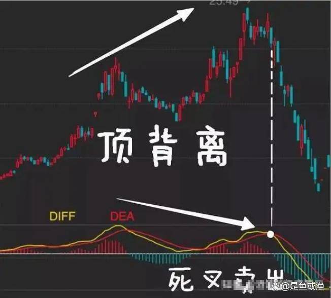 交易20多年我现在能躺着稳定盈利全靠悟到了这5点