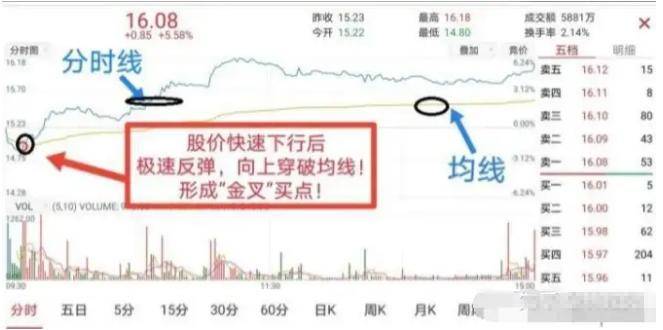 散户亏损的最大原因是频繁换股做T才是炒股最好方法！