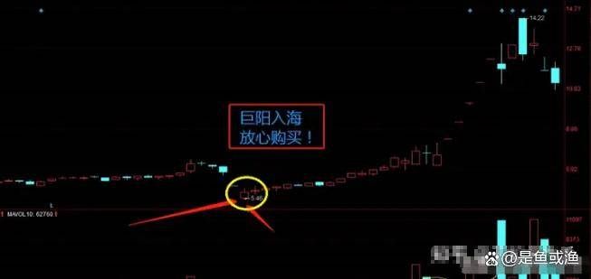 真正的高手是不会满仓而多数时间会选择空仓