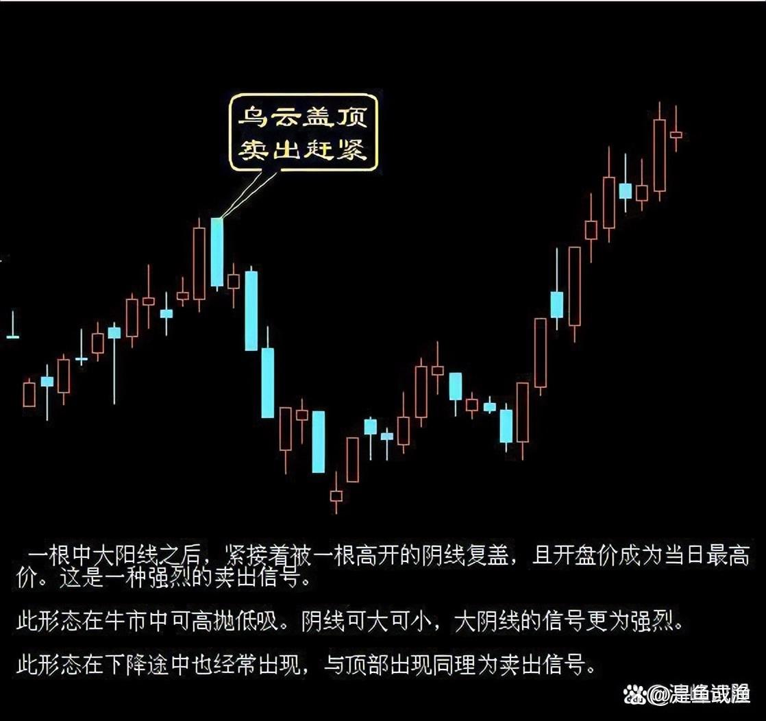终有一天你会发现真正炒股厉害的人都有共性！