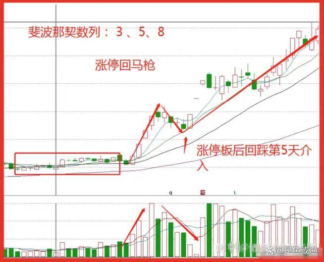 炒股最重要的是什么？看明白这篇文章你也会炒股！