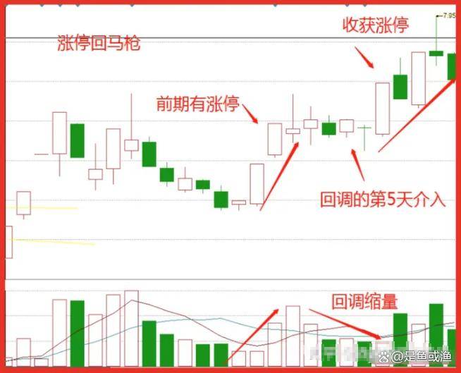 炒股最重要的是什么？看明白这篇文章你也会炒股！