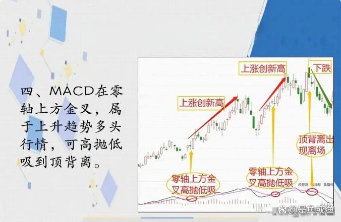 做股票其实并没有大家想象中的难掌握MACD指标简单却最赚钱