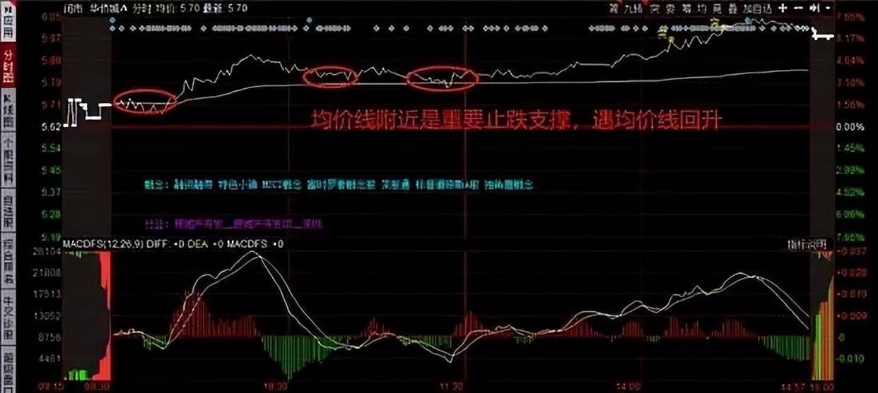 写给所有亏损的散户的一封信炒股亏光五年积蓄股民该怎么办?
