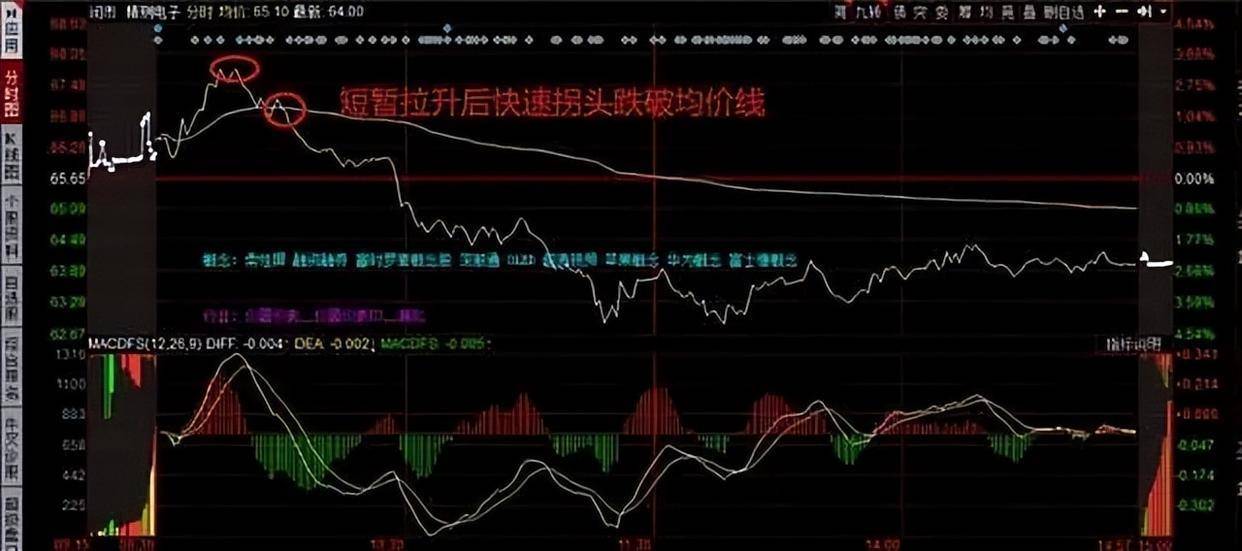 写给所有亏损的散户的一封信炒股亏光五年积蓄股民该怎么办?